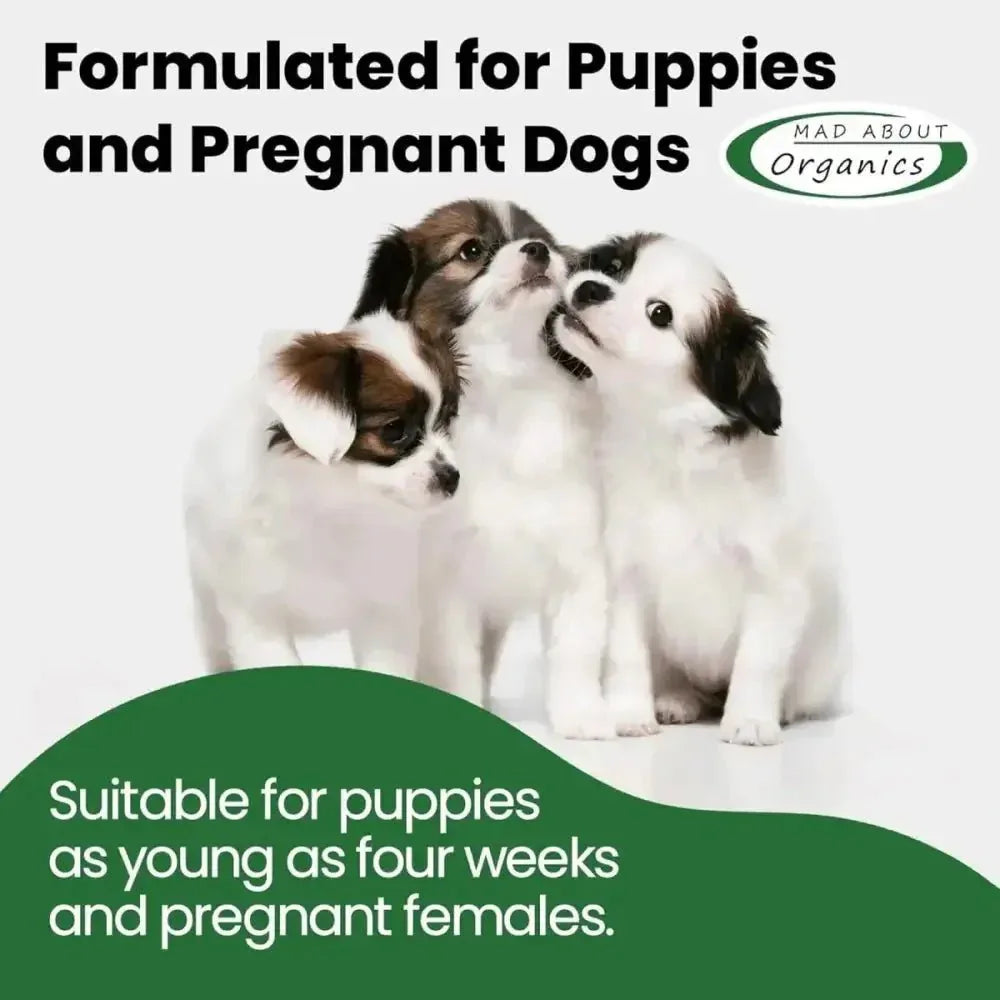 Mad About Organics Warm Vanilla Dog Shampoo 16oz - Talis Us