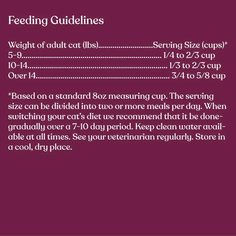 Made by Nacho Bone Broth Infused Sustainably Caught Salmon & Pumpkin Recipe Dry Cat Food - Talis Us