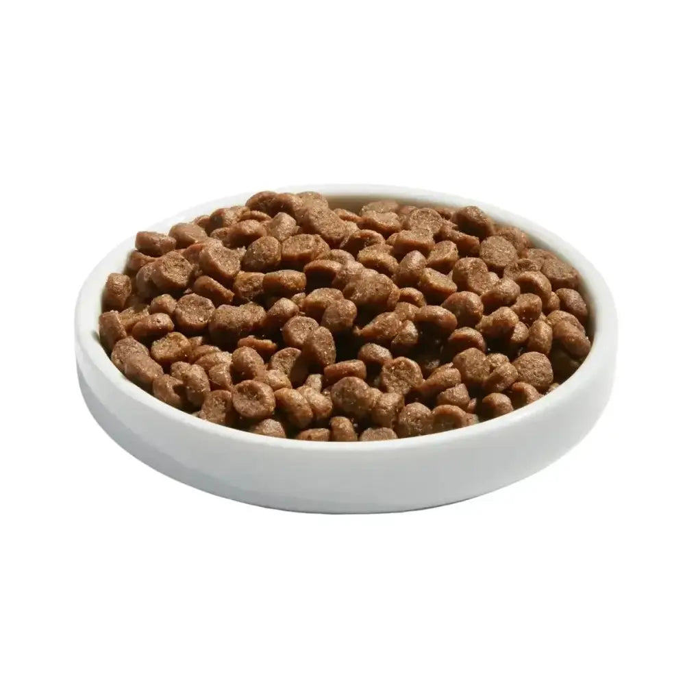 Made by Nacho Cage - Free Chicken, Chicken Liver & Bone Broth Recipe Kittens Dry Cat Food - Talis Us