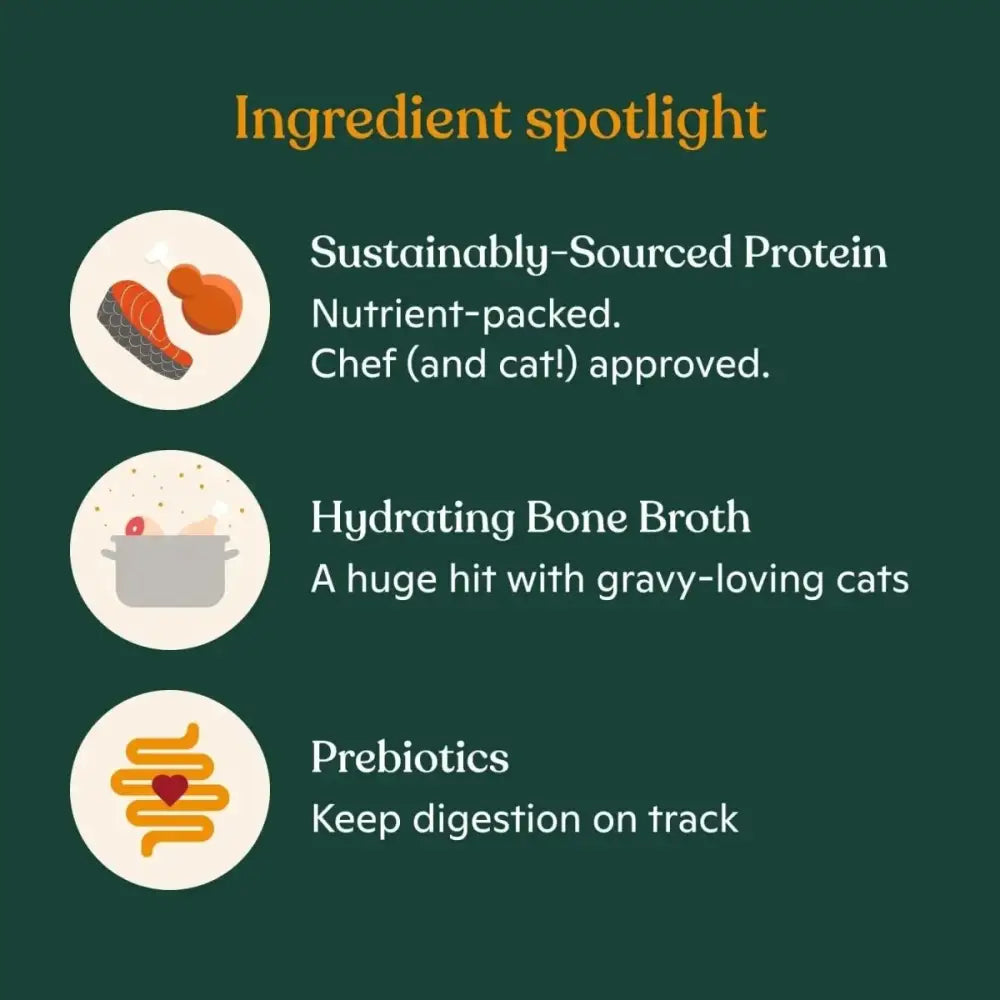 Made by Nacho Cage Free Minced Chicken Recipe With Bone Broth Wet Cat Food 10 / 2.5 oz - Talis Us