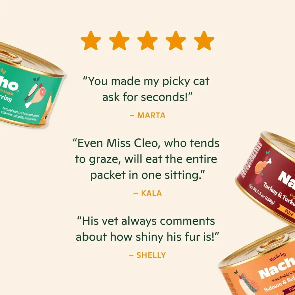 Made by Nacho Chicken Recipe Grain - Free Pate Wet Kitten Food 24 / 3 oz - Talis Us