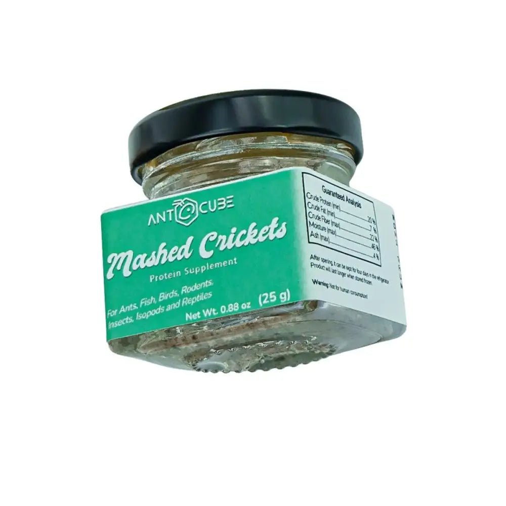 Mashed Crickets - Talis Us