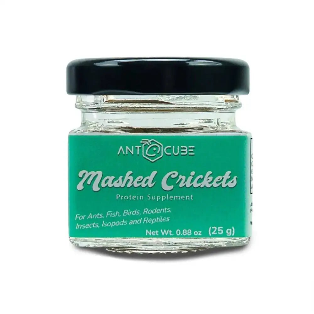 Mashed Crickets - Talis Us