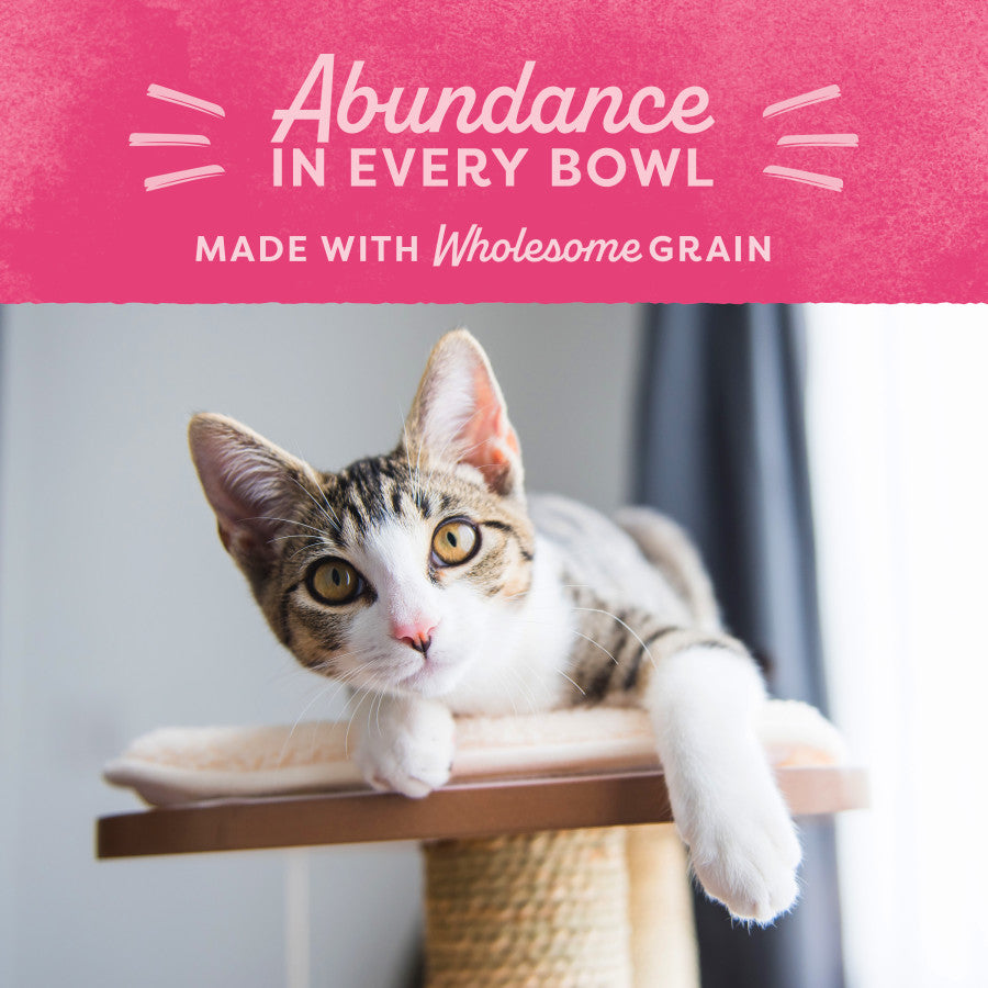 Premium Dry Cat Food for Whole Body Health - Natural Balance Original Ultra