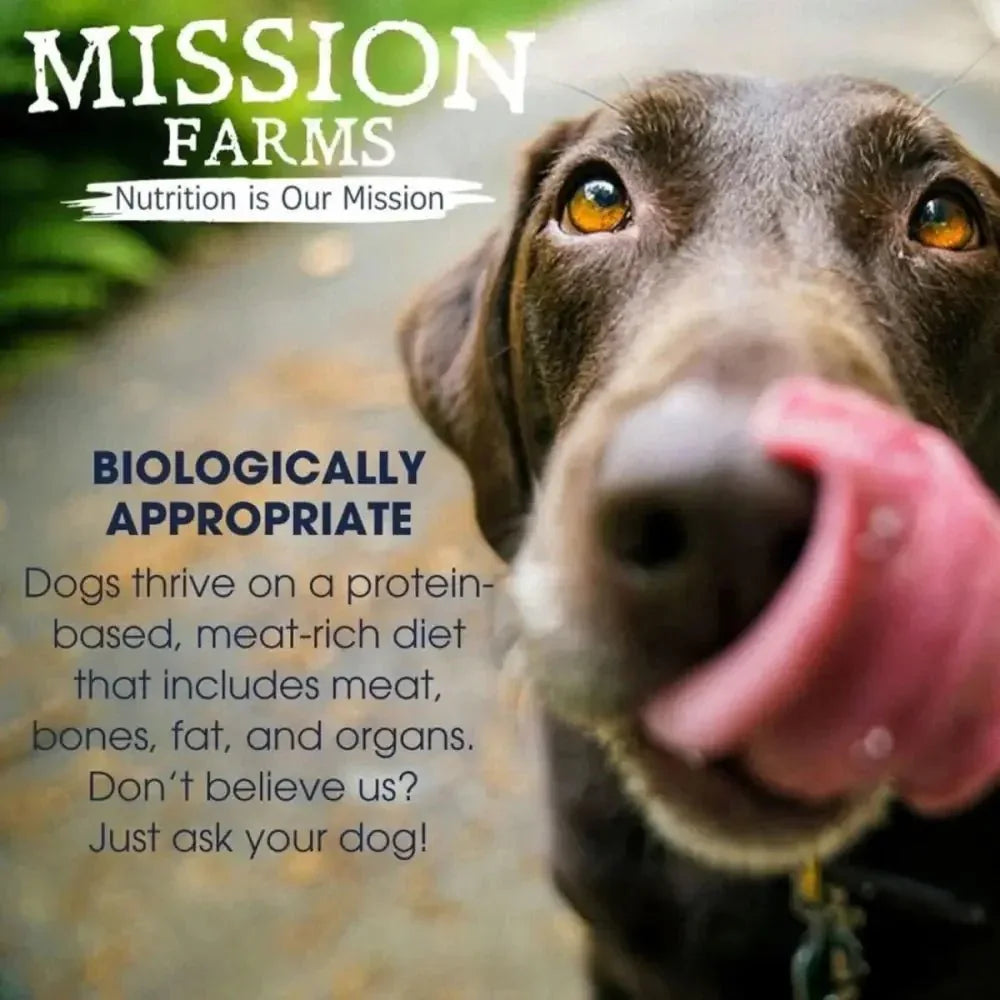Mission Farms Wild - Caught Salmon & Pumpkin Freeze - Dried Dog Food 14oz - Talis Us