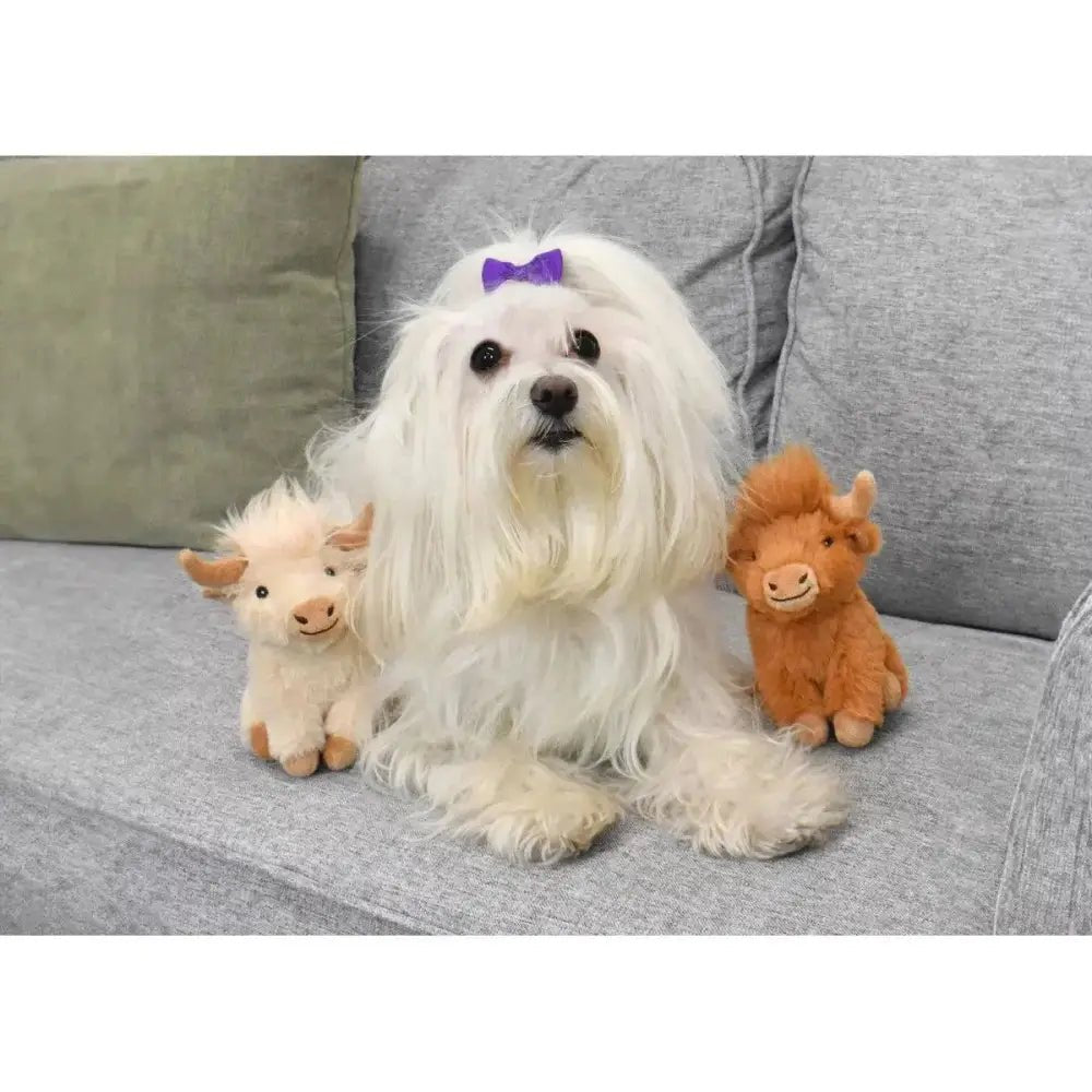 Multipet Highland Cow Dog Toy - Talis Us