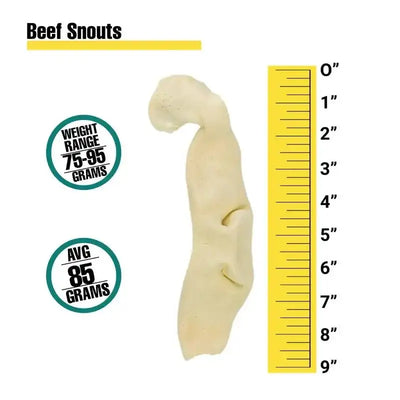Natural Beef Snouts Dog Chew Treats 10 Units - Talis Us