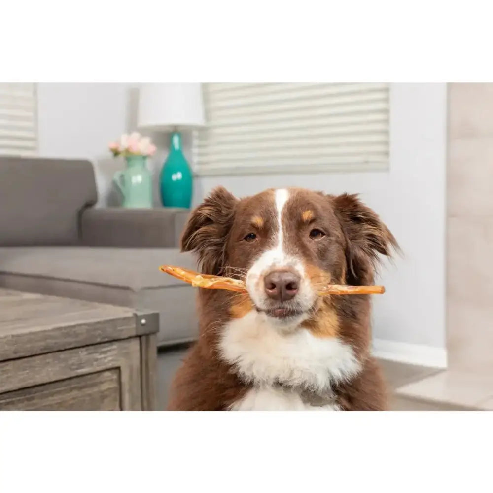 Natural Cravings Black Angus Beef Tendons Chews for Dogs 50/case - Talis Us