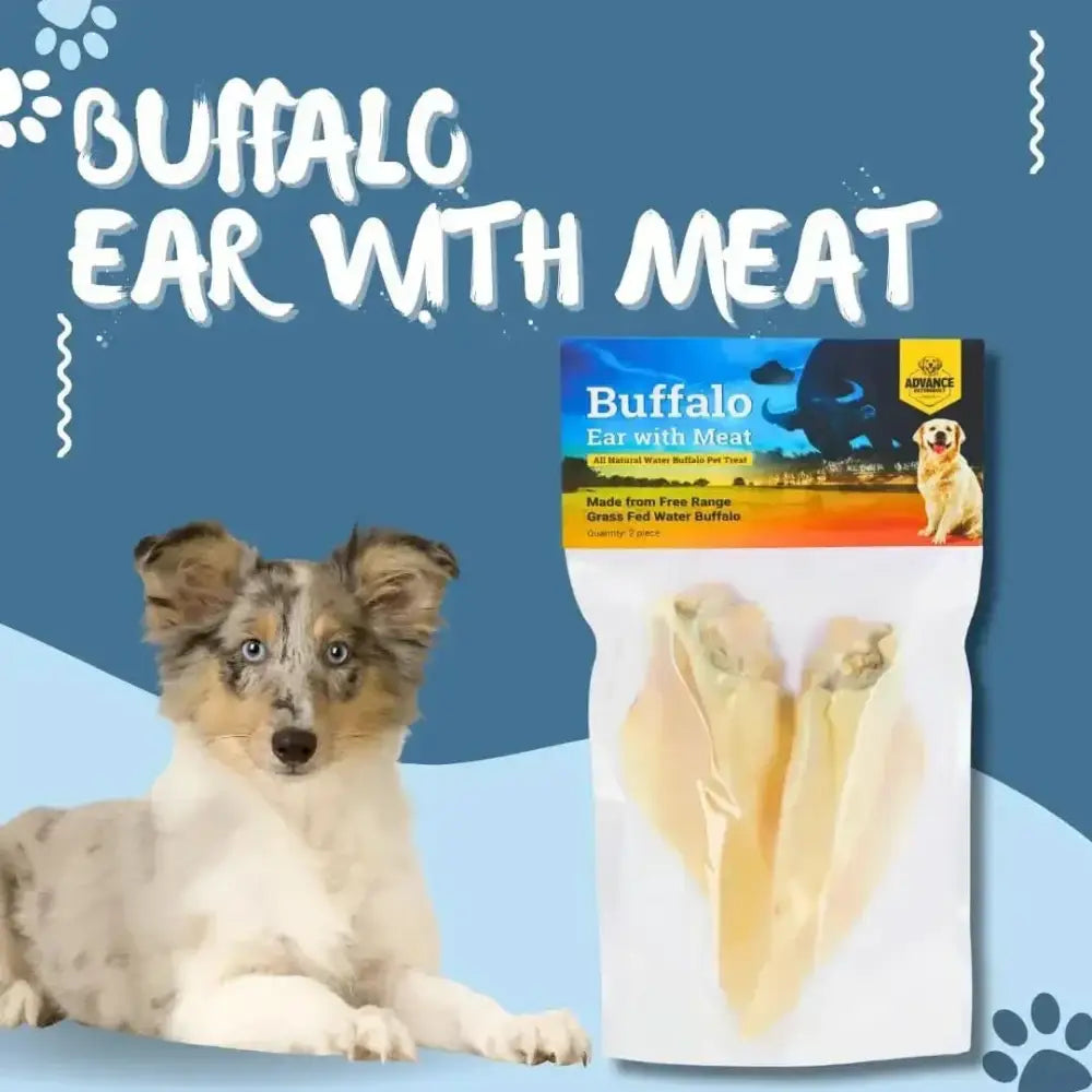 Natural Water Buffalo Ear Treat for Dogs - Chew and Oral Health Benefits - Talis Us