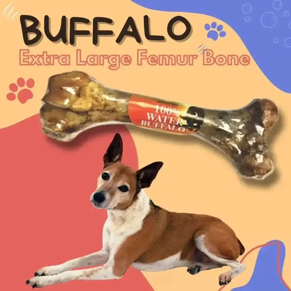Natural Water Buffalo Femur Bone Extra Large Chew for Dogs - Talis Us