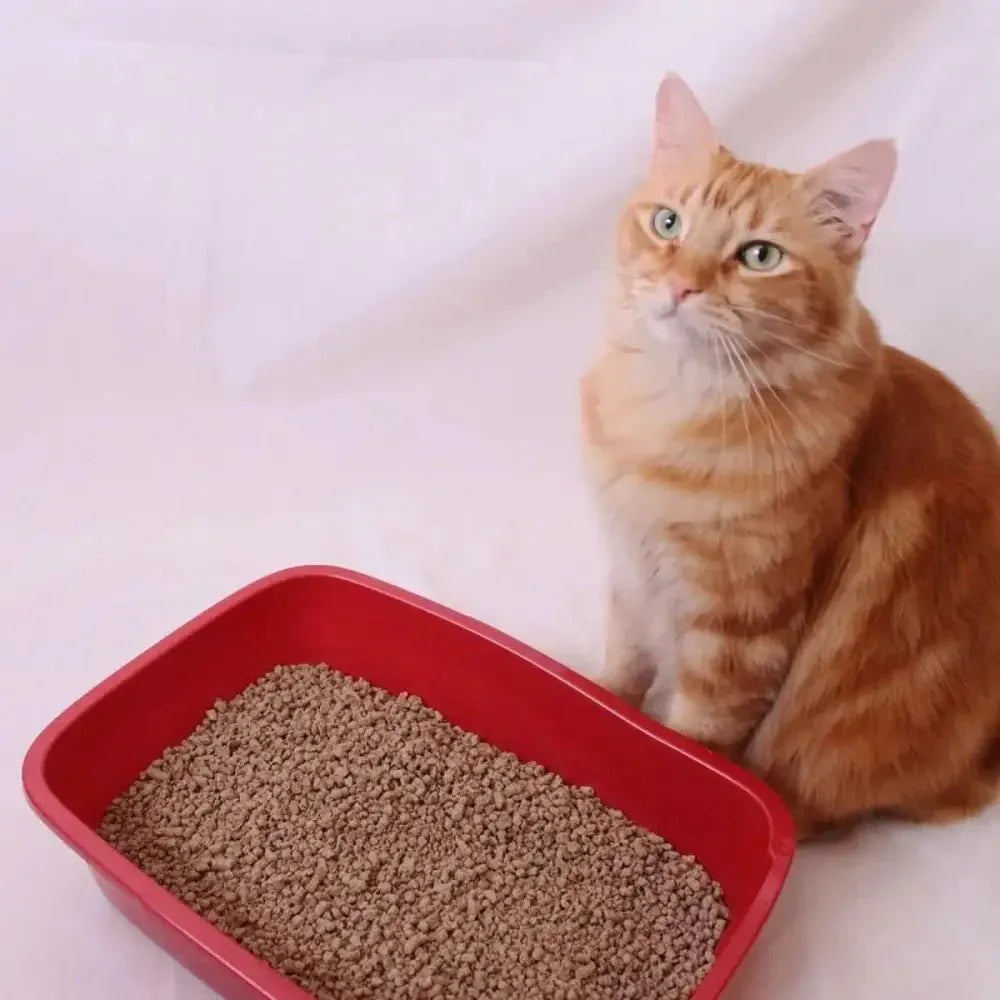 Next Gen Pet Products Cypress Fresh Unscented Clumping Wood Cat Litter - Talis Us