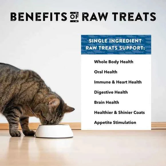 Northwest Naturals Freeze-Dried Herring Treats for Dogs & Cats 13oz