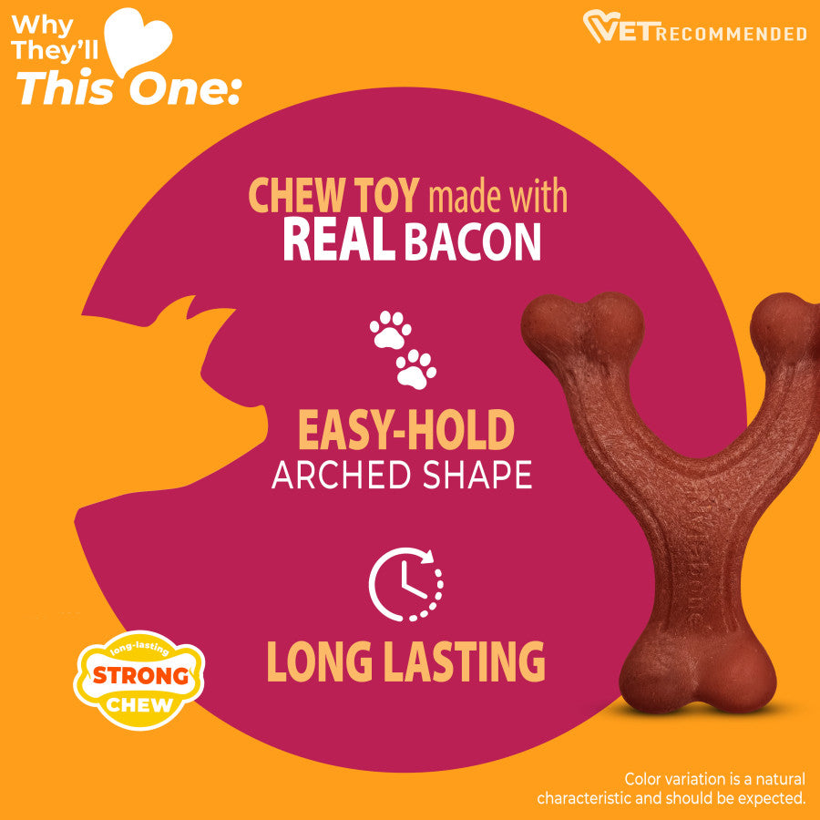 Nylabone strong chew bacon dog toy with real bacon, long lasting and easy arch shape for dogs