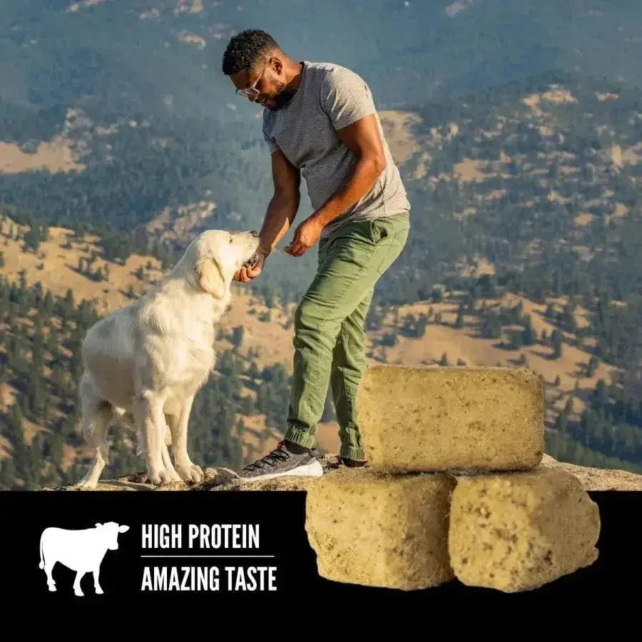 ORIJEN Original Grain - Free Freeze - Dried Dog Treats - Talis Us