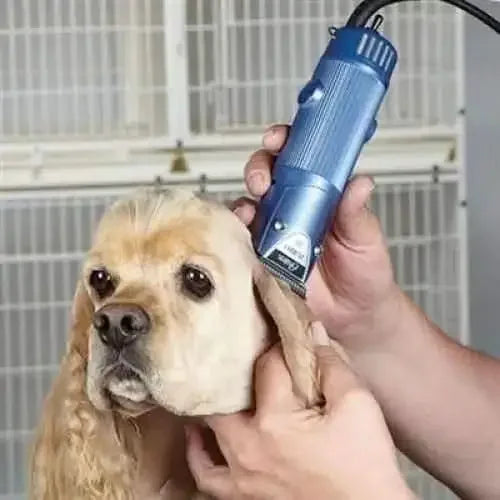 Oster Turbo A5 2-Speed Clipper w/#10 Blade Oster WP