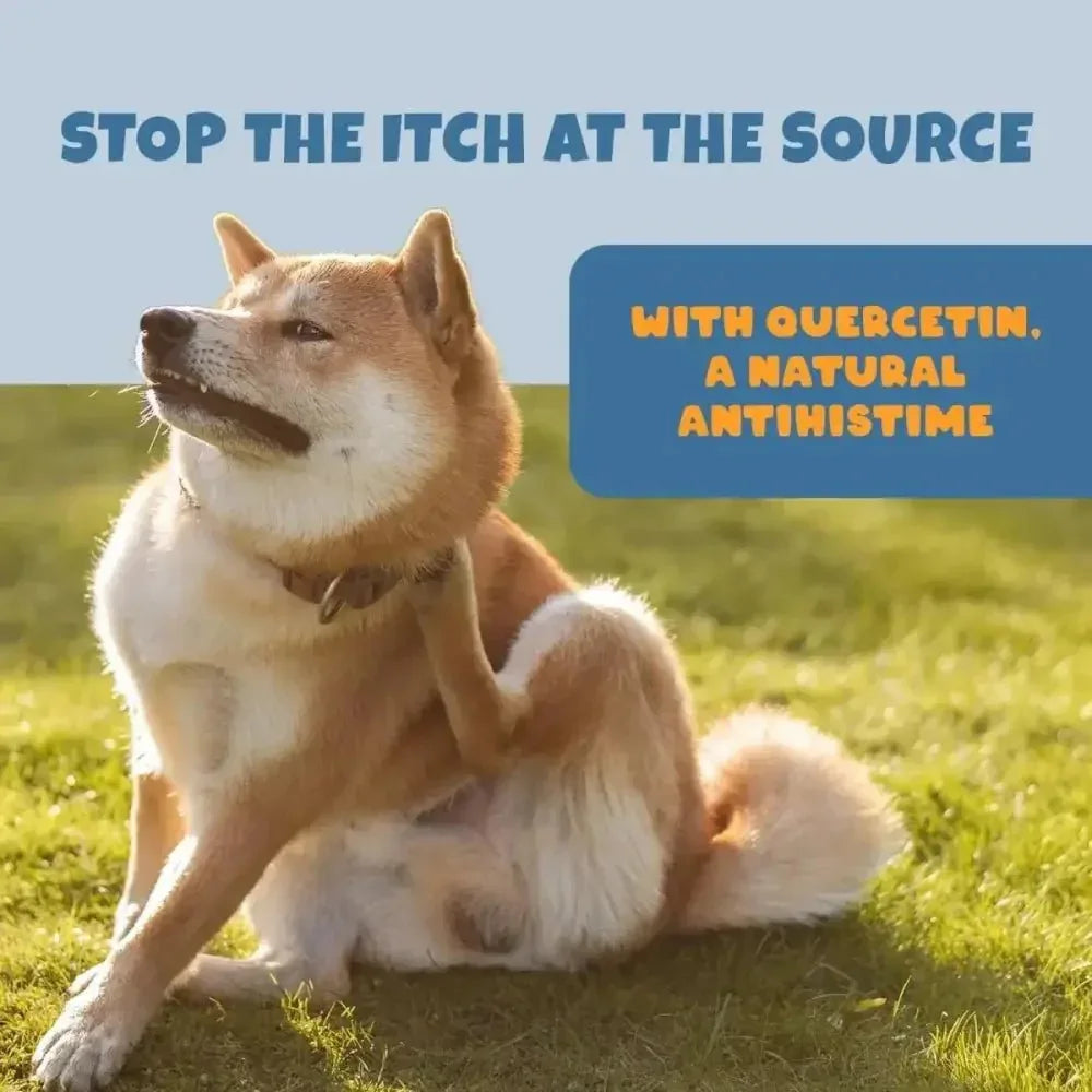 PETIPET Allergy + Immunity with Quercetin & Omega 3 Apple & Carrot Flavored Soft Chew Allergy Supplement for Dogs 7oz - Talis Us