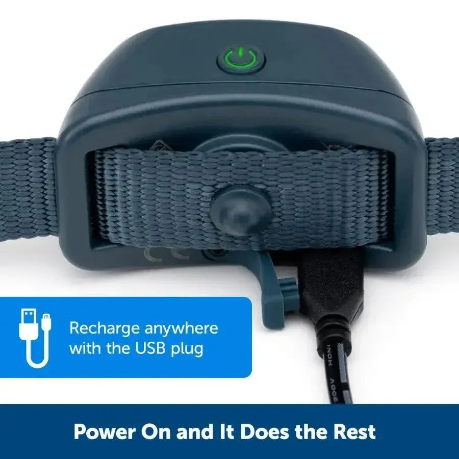 PetSafe Audible Bark Collar w/Soundburst Technology - Talis Us