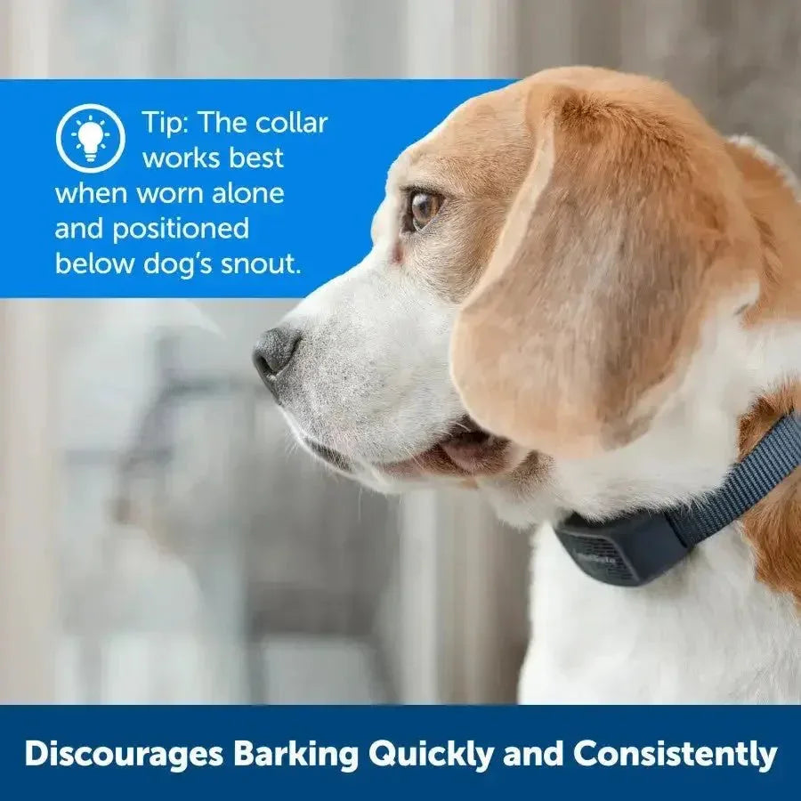 PetSafe Audible Bark Collar w/Soundburst Technology - Talis Us