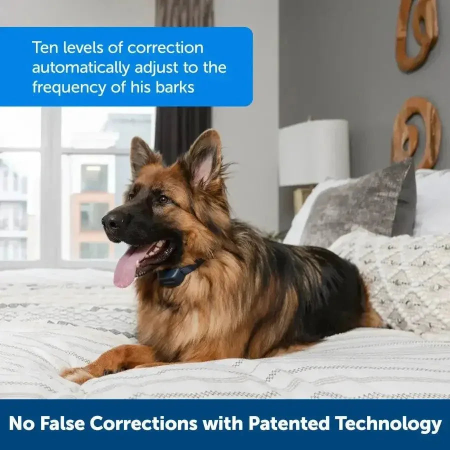 PetSafe Audible Bark Collar w/Soundburst Technology - Talis Us