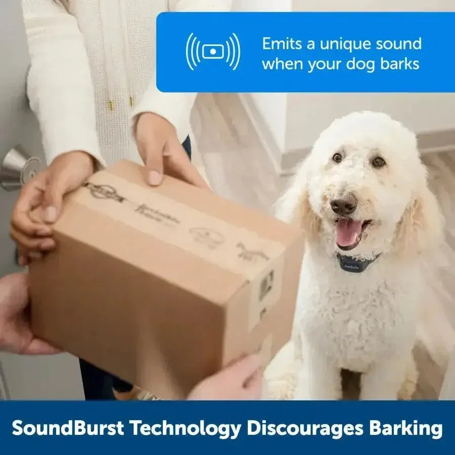 PetSafe Audible Bark Collar w/Soundburst Technology - Talis Us