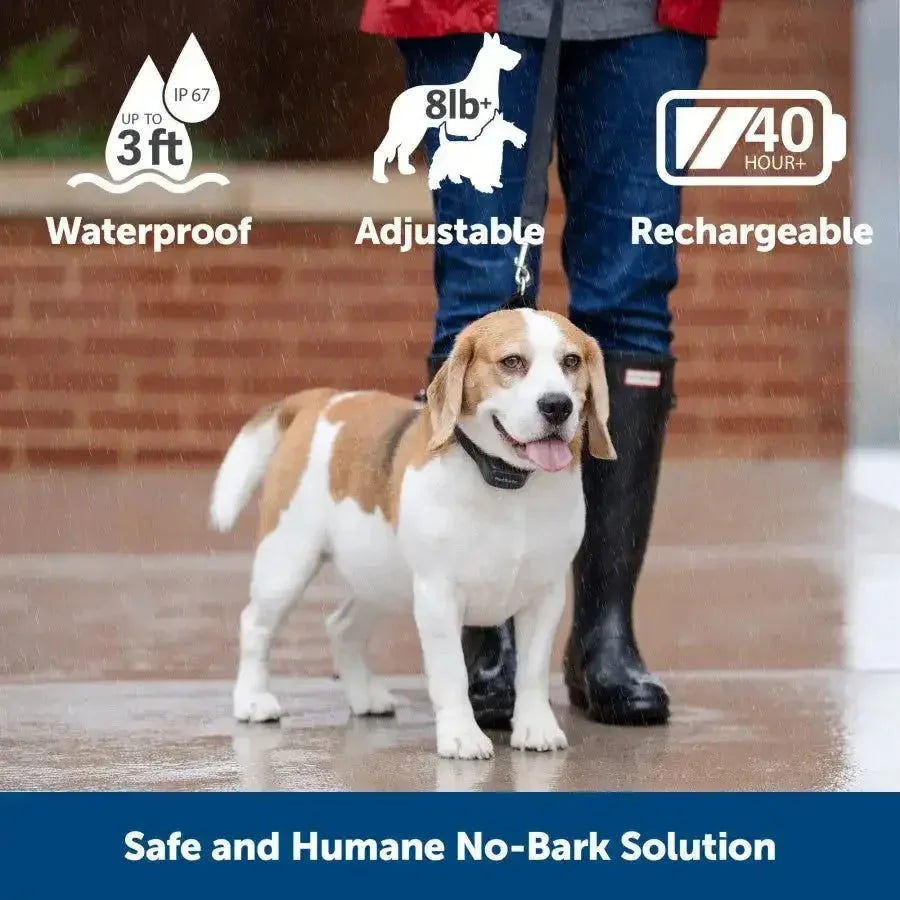 PetSafe Audible Bark Collar w/Soundburst Technology - Talis Us