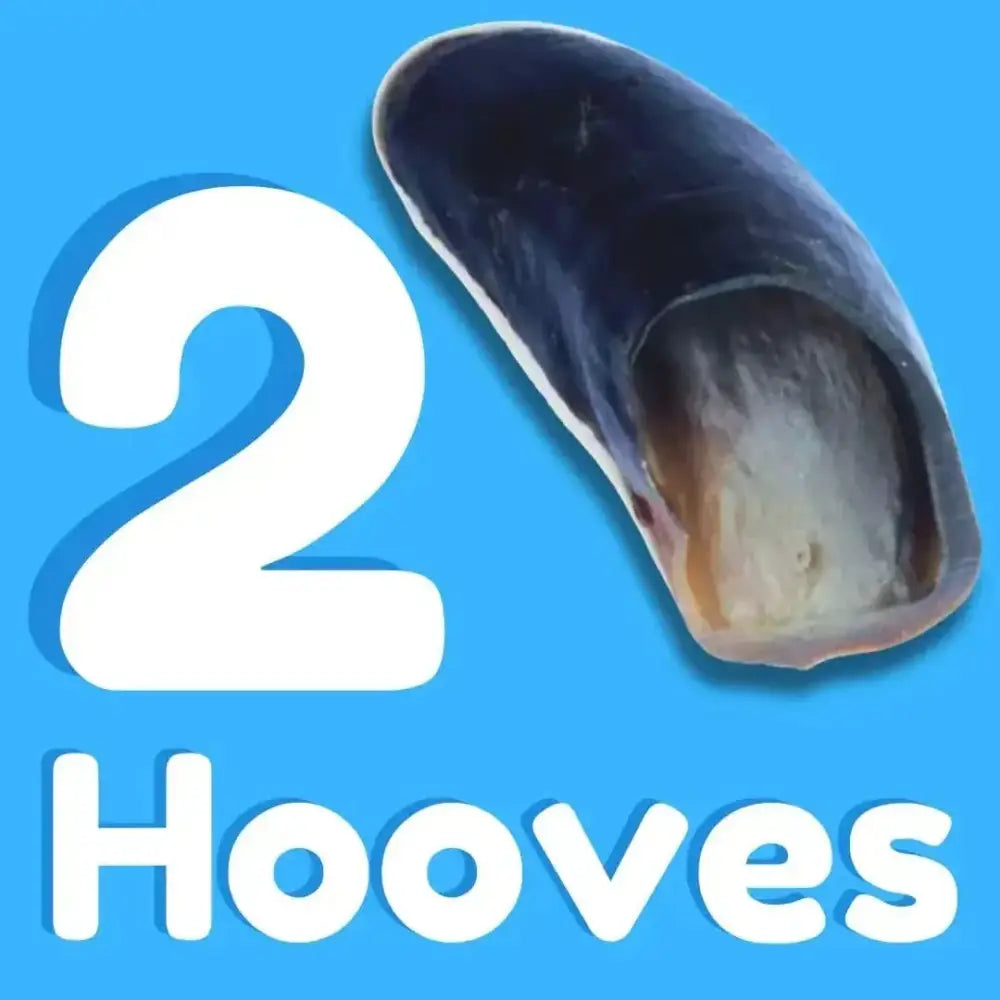 Premium All Natural Water Buffalo Chews for Dogs - Talis Us