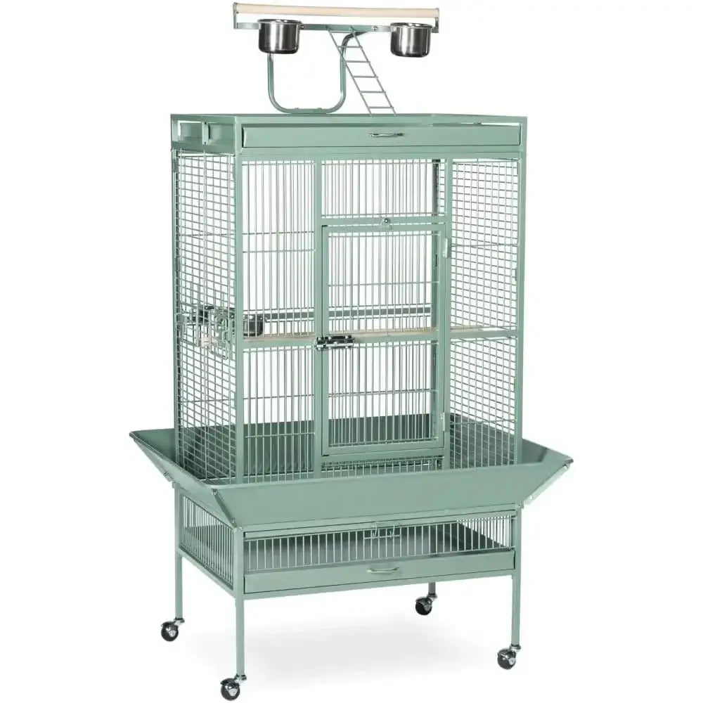 Prevue Pet Products Playtop Bird Cage Home 3153 Prevue Pet