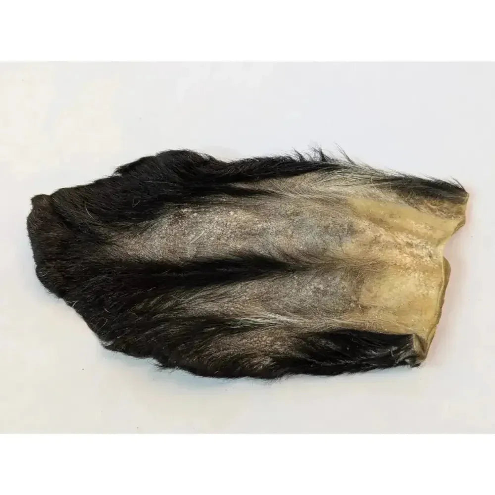 QT Dog Goat Hearz Hairy Goat Ears – All - Natural Long - Lasting Dog Chews 50pcs Bulk - Talis Us