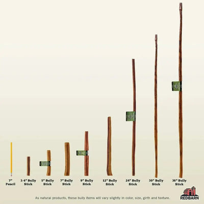 Redbarn 9" Bully Sticks for Dogs 9" (Pack of 50) - Talis Us