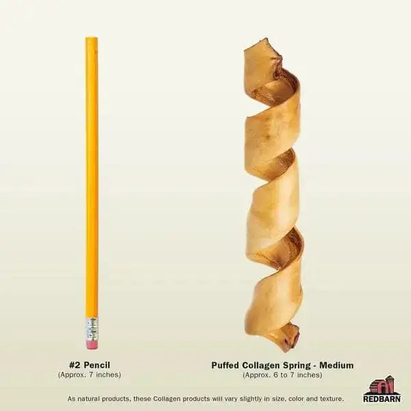 Redbarn Pet Products Puffed Collagen Spring Dog Treats 25ea/6-7 in Redbarn