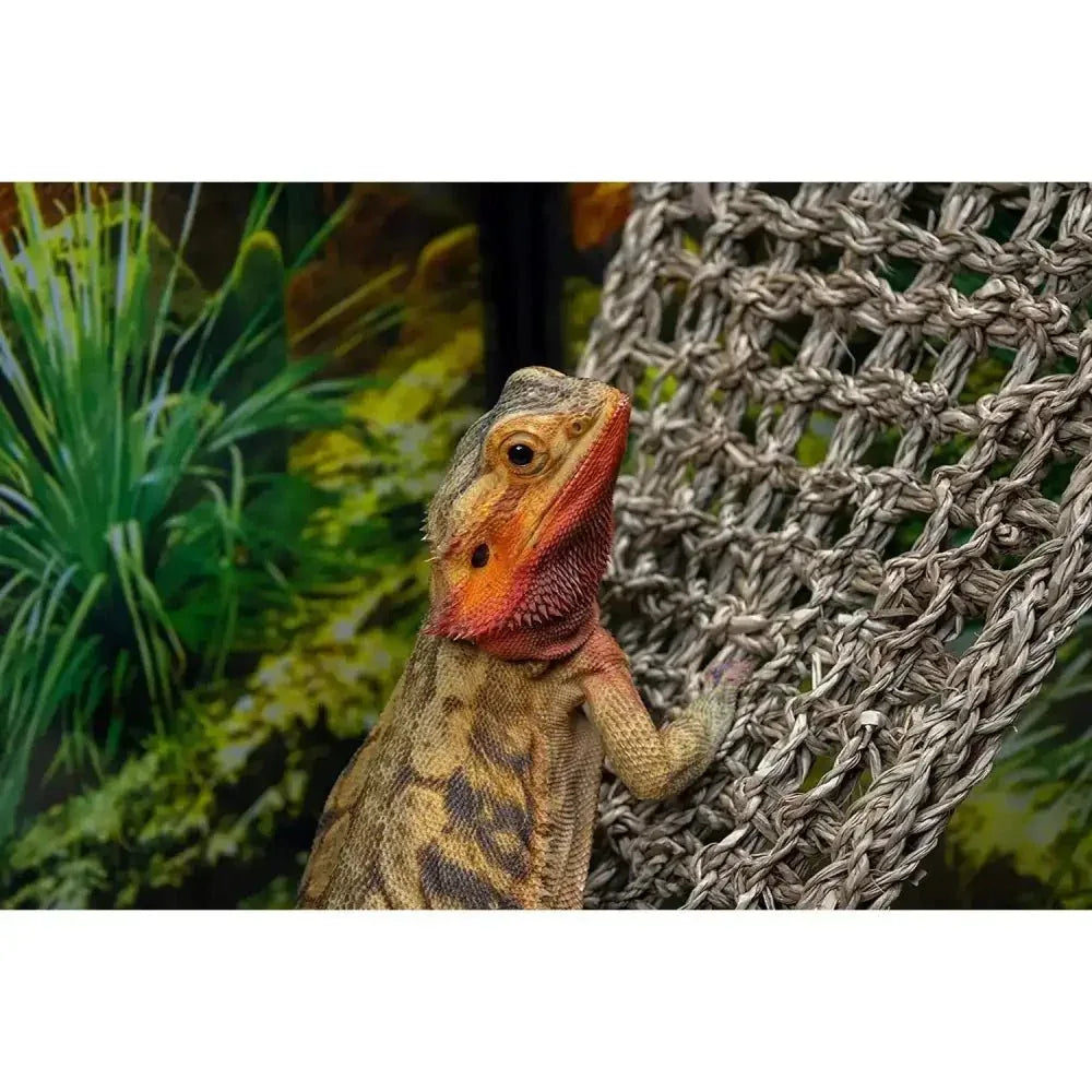 Reptology Castle Hide - Away & Lizard Lounger Bridge Reptile Habitat Decorations - Talis Us