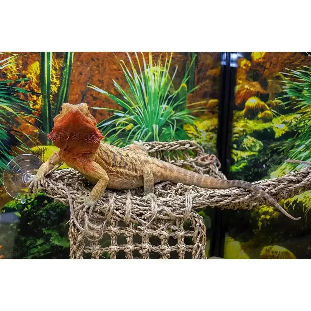 Reptology Lizard Lounger Large Corner Triangle for Bearded Dragons, Anoles, Geckos, and Other Reptiles - Talis Us