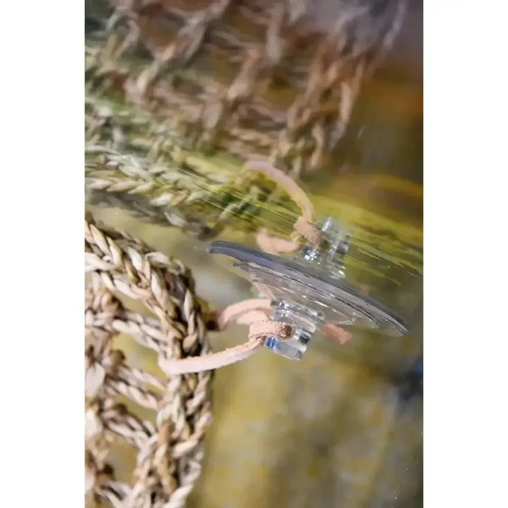 Reptology Lizard Lounger Large Corner Triangle for Bearded Dragons, Anoles, Geckos, and Other Reptiles - Talis Us