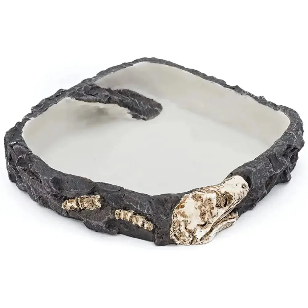 Reptology Reptile Fossil Rock Food/Water Dish - Talis Us