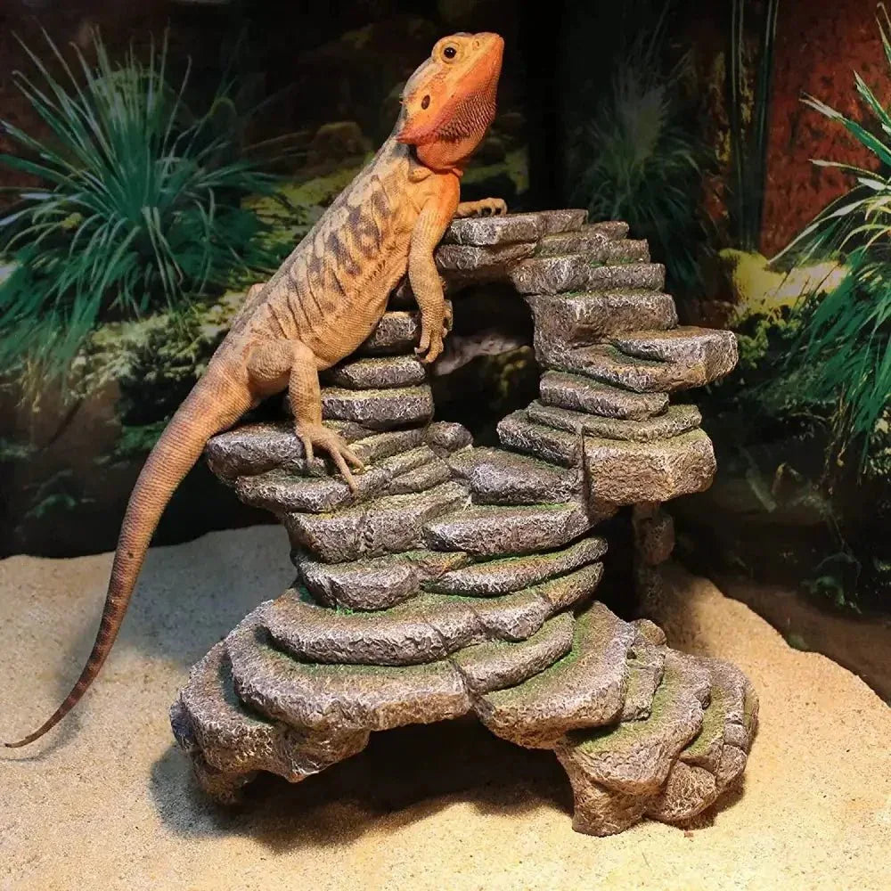 Reptology Shale Scape Step Ledge & Cave Hideout Decorative Resin for Aquariums & Terrariums - Talis Us