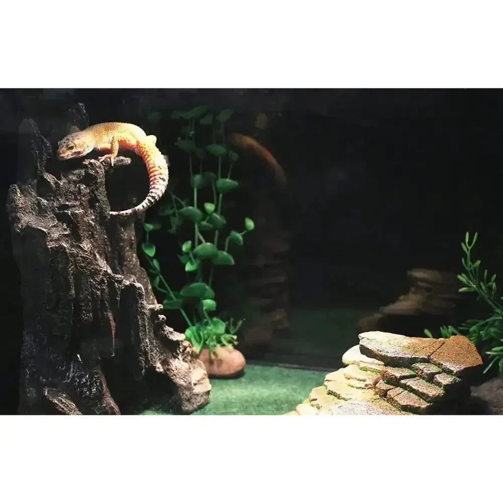 Reptology Shale Step Ledge for Aquariums & Terrariums - Talis Us