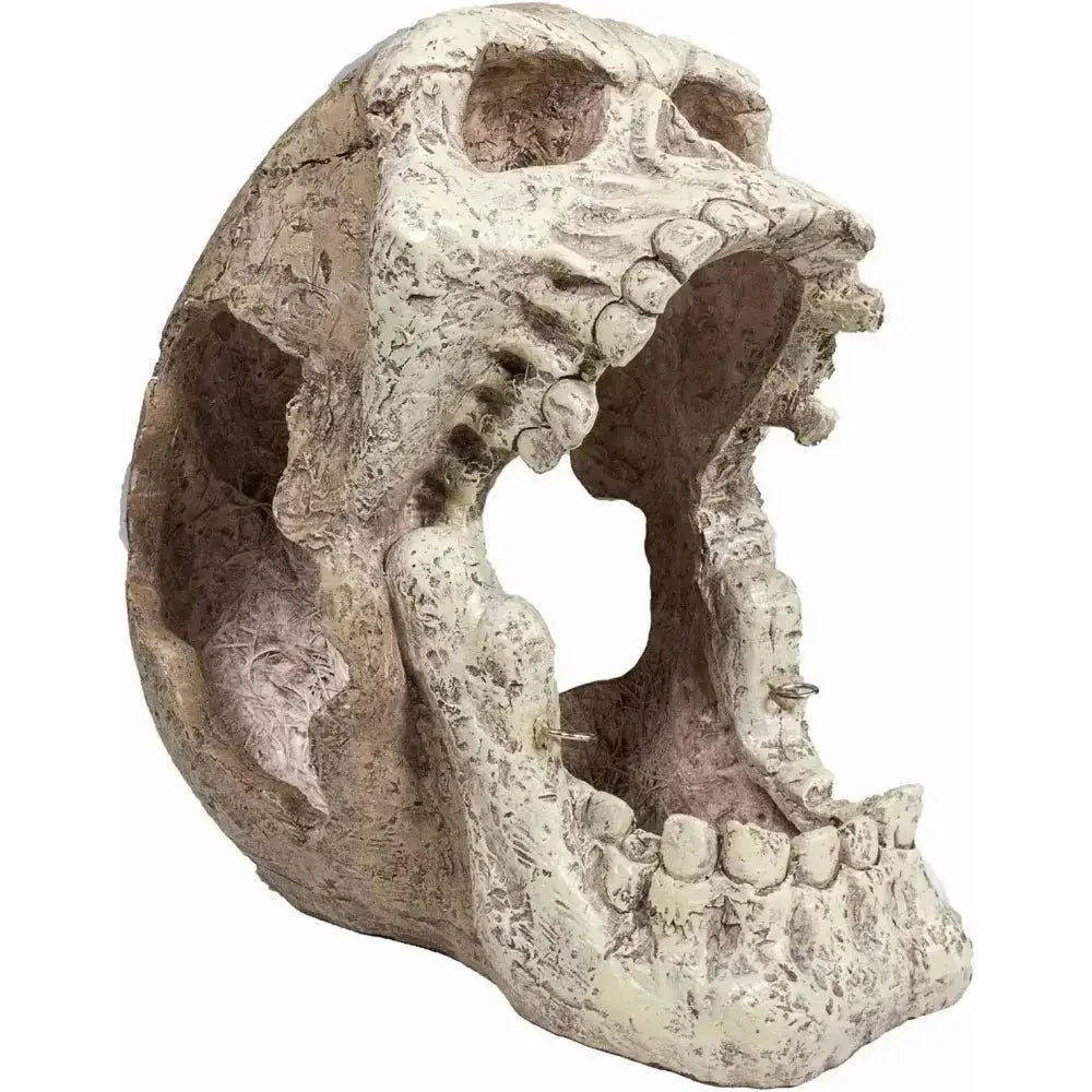 Reptology Skull Hide - Away Habitat Décor - Talis Us