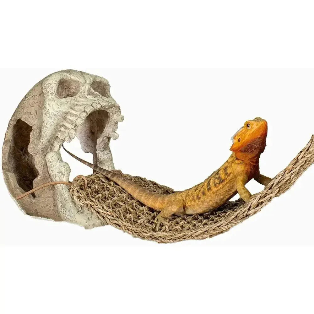 Reptology Skull Hide - Away Habitat Décor - Talis Us
