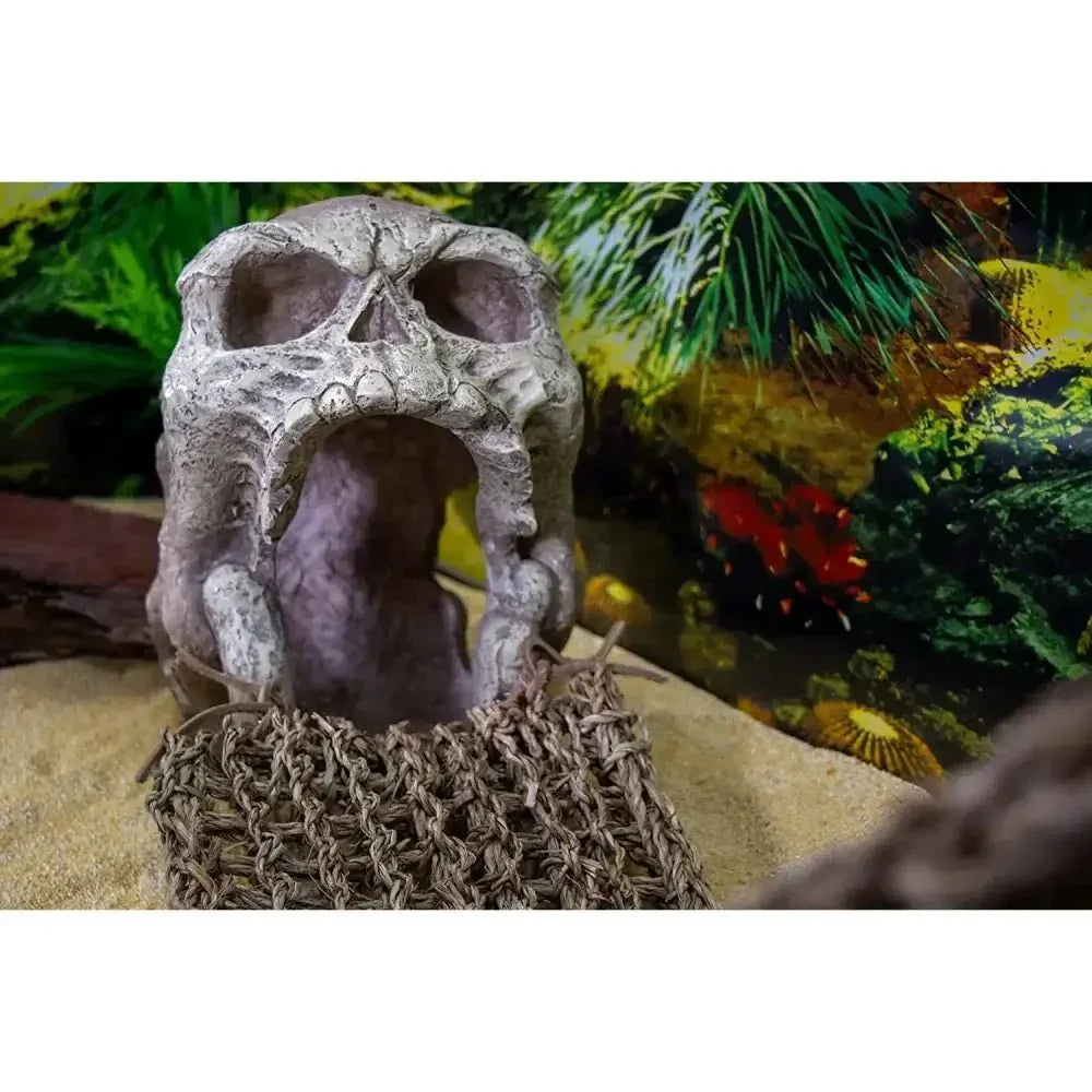 Reptology Skull Hide - Away Habitat Décor - Talis Us