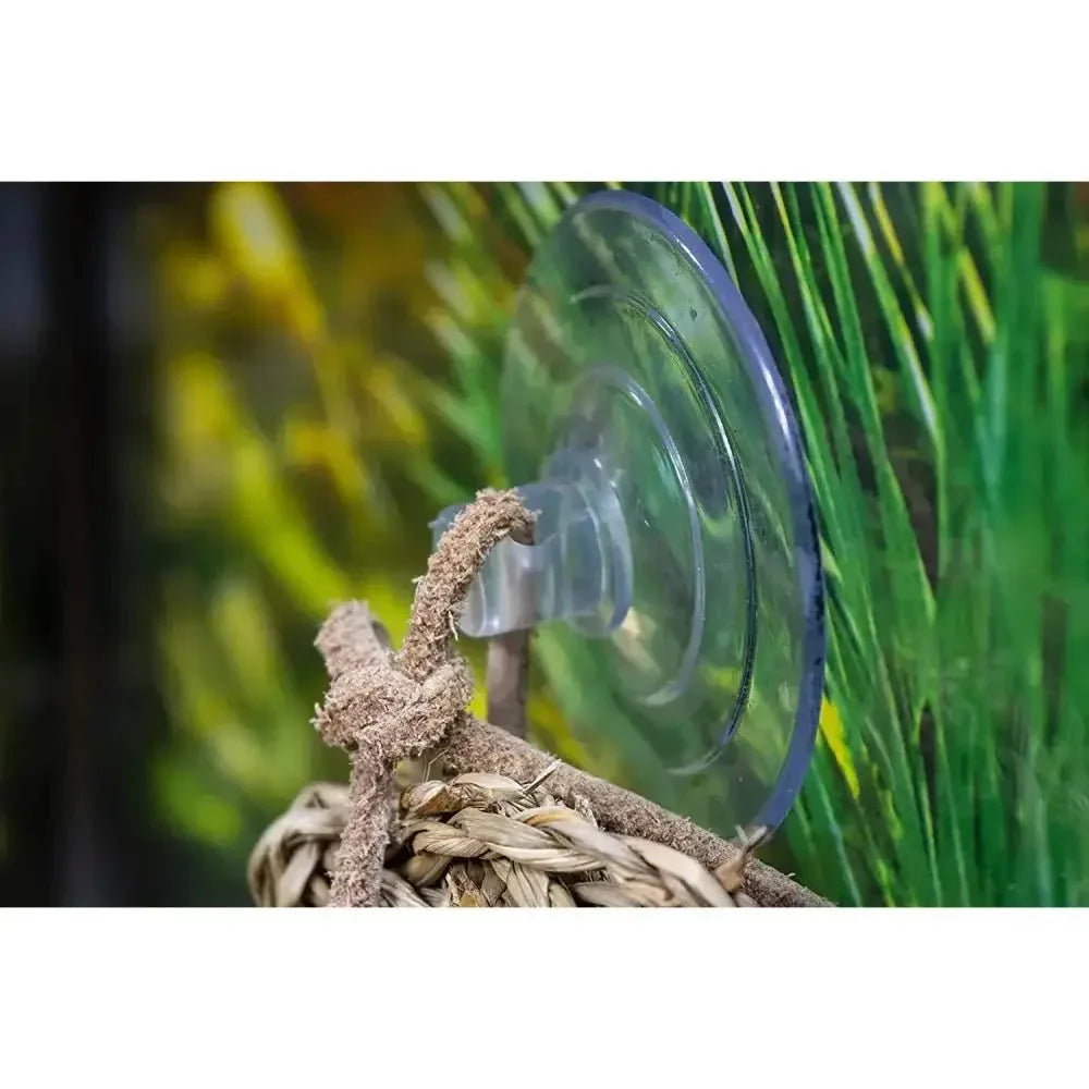 Reptology Skull Hide - Away Habitat Décor - Talis Us