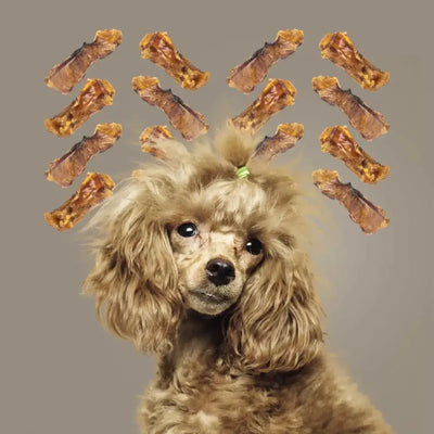 Roam Pet Treats Ossy Chops Ostrich Dog Chew - Talis Us