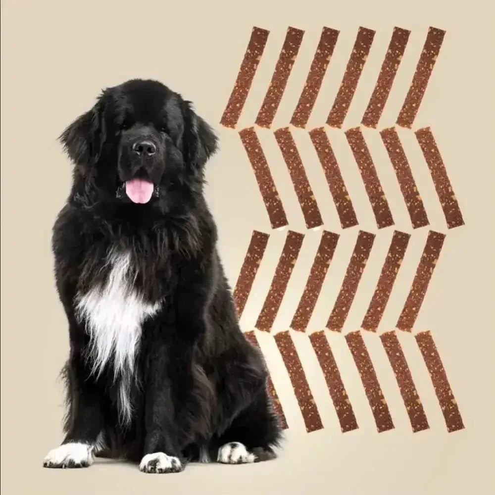 Roam Pets Ossy Ostrich Jerky Healthy Dog Treats 5oz - Talis Us