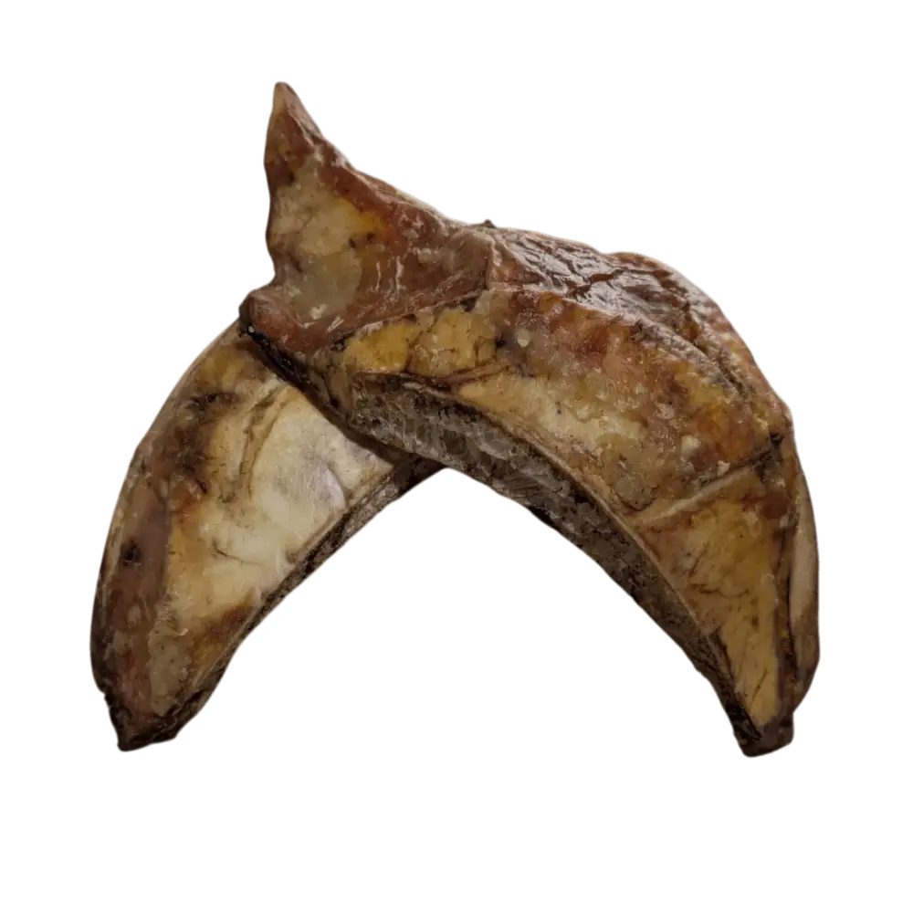 Savannah Pet Chest Bone Treat for Dogs, Natural and Nutritious Chew for Healthy Teeth