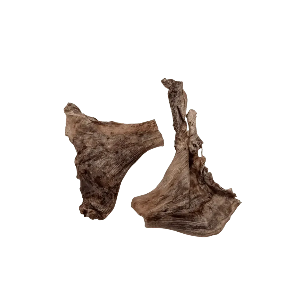 Savannah Pet Food Ostrich Skin Dog Chew Treats 2 Pieces - Talis Us