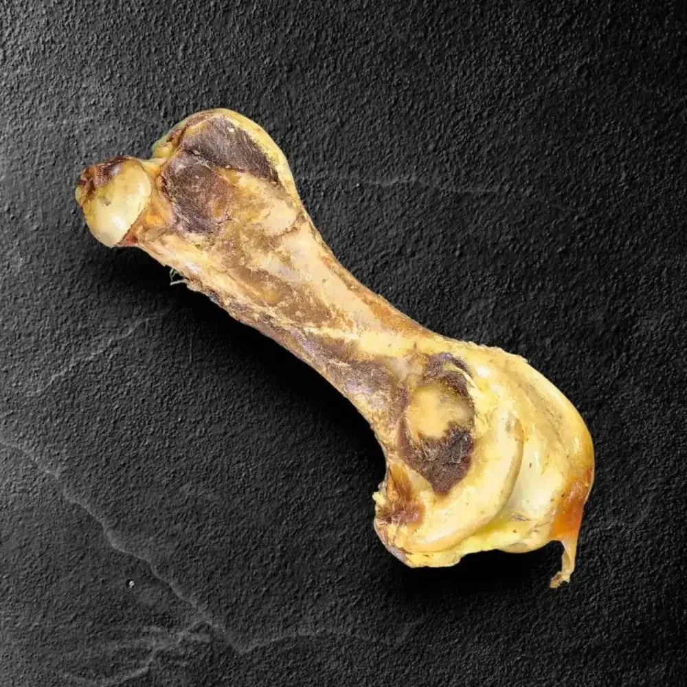 Savannah Splinter - Free Ostrich Hip Bone. Long - lasting, Natural Dog Gnaw Treat - Talis Us