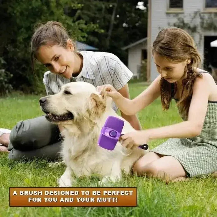 Self Cleaning Grooming Brush - Talis Us