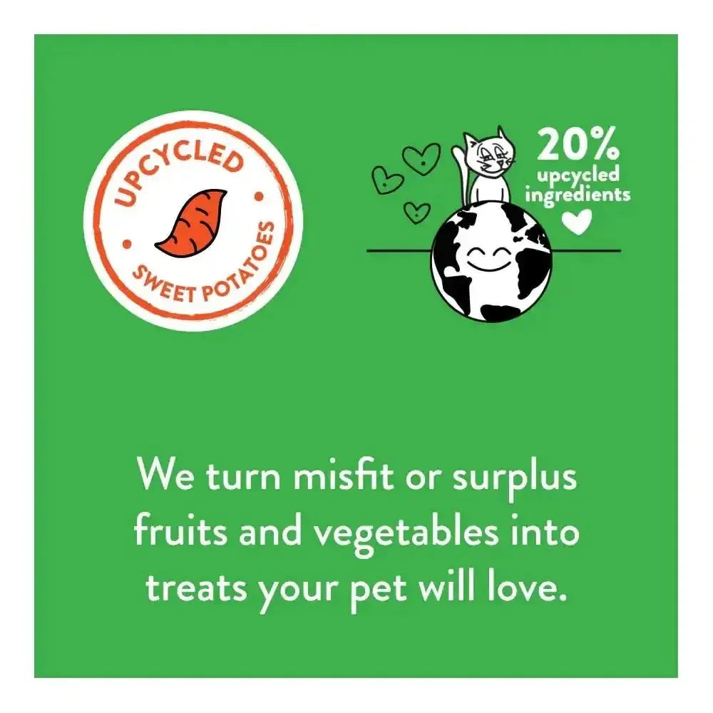 Shameless Pets Catnip N Chill Crunchy Cat Treats - Talis Us