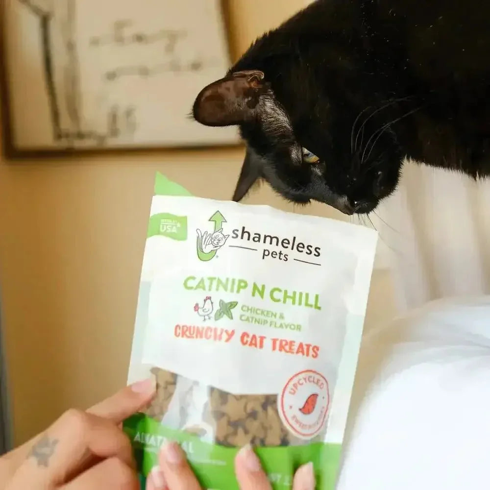 Shameless Pets Catnip N Chill Crunchy Cat Treats - Talis Us