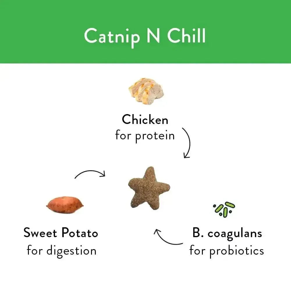 Shameless Pets Catnip N Chill Crunchy Cat Treats - Talis Us