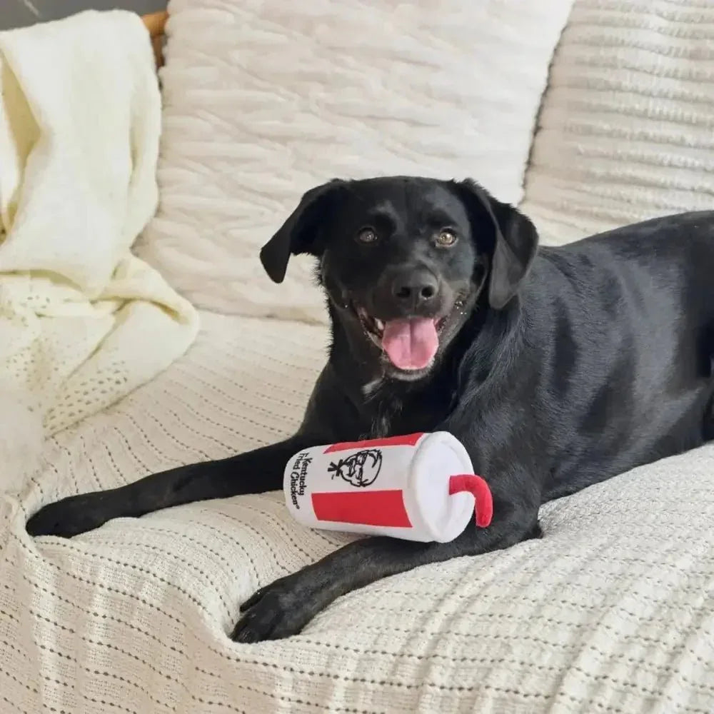 Spot Kentucky Fried Chicken Dog Toy - Talis Us